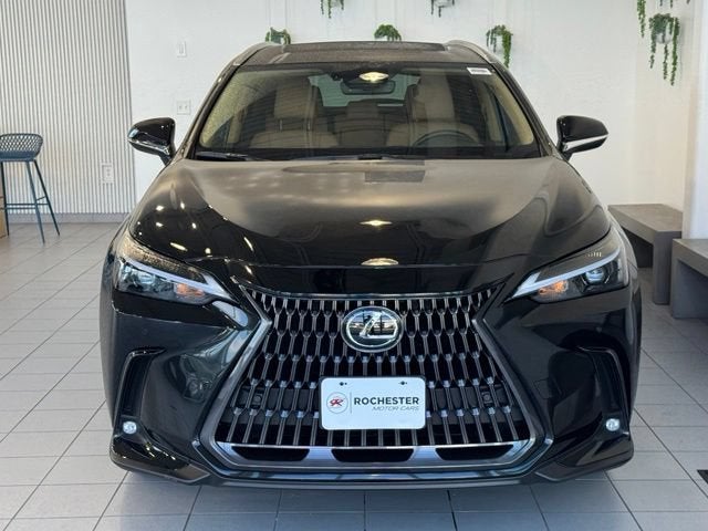 2025 Lexus NX 350 NX 350