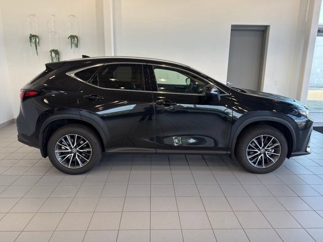 2025 Lexus NX 350 NX 350