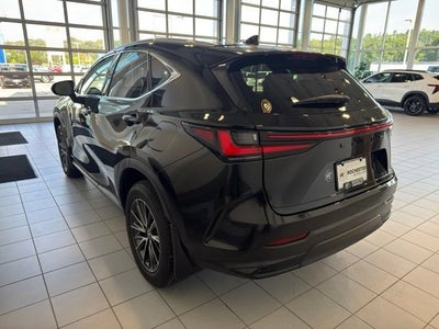 2025 Lexus NX 350 NX 350