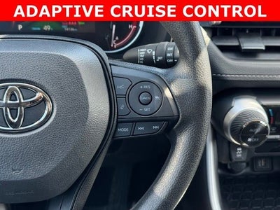 2025 Toyota RAV4 XLE AWD