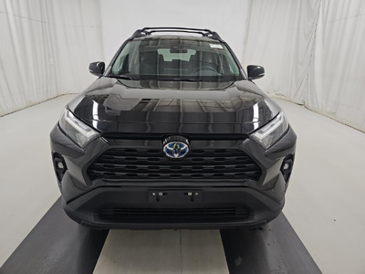 2023 Toyota RAV4 Hybrid Woodland Edition AWD