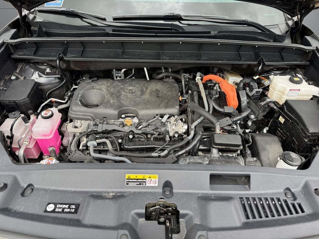 2024 Toyota Highlander Hybrid XLE AWD