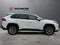 2019 Toyota RAV4 XLE Premium FWD