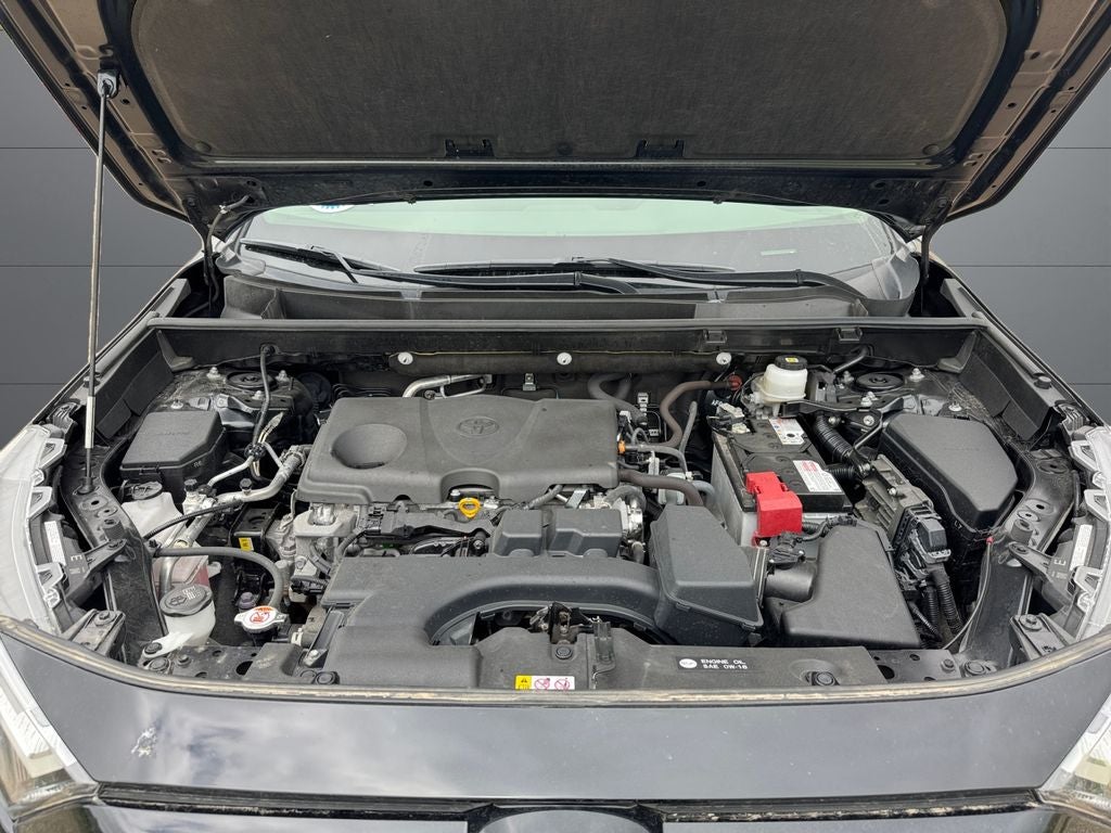 2023 Toyota RAV4 LE AWD
