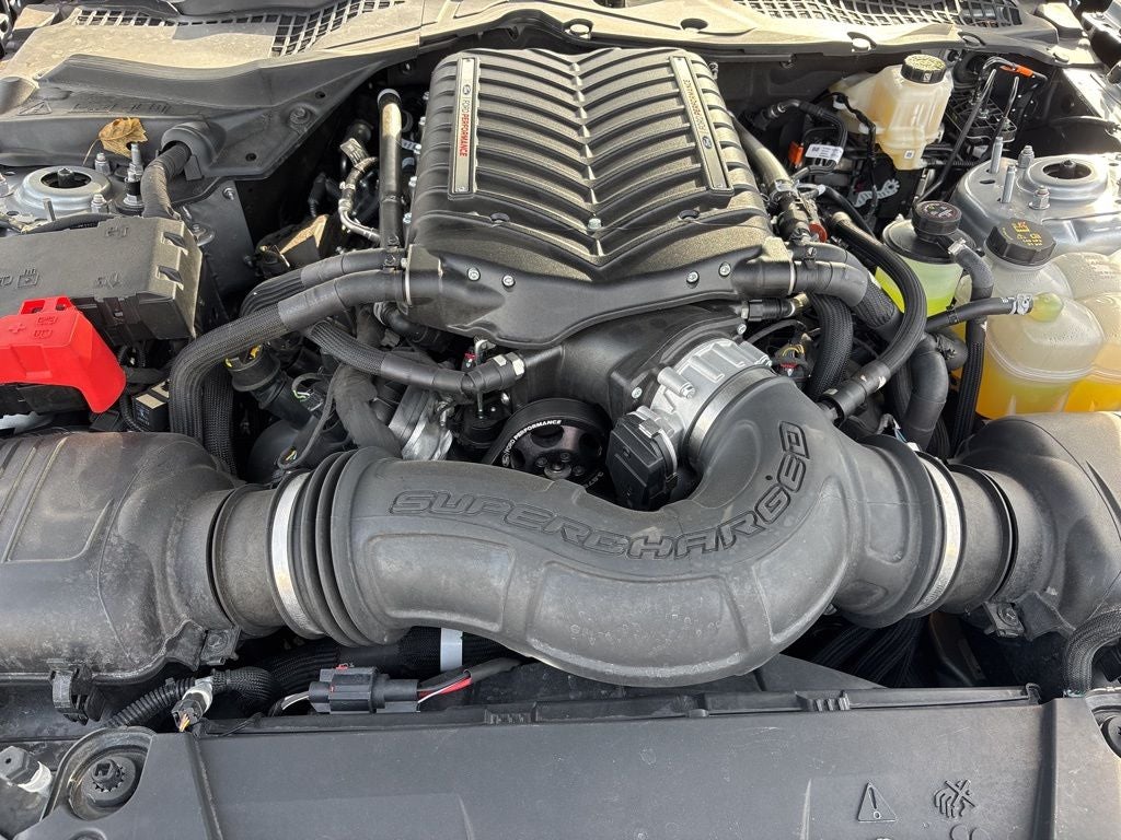 2024 Ford Mustang GT Premium w/Whipple Supercharger