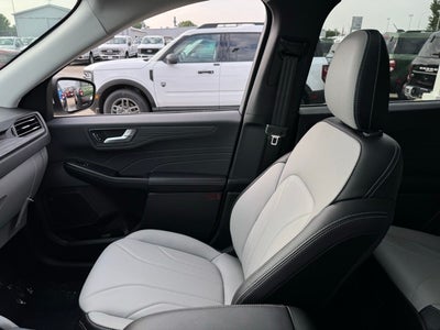 2025 Ford Escape Plug-In Hybrid Base w/Paint Protection Film