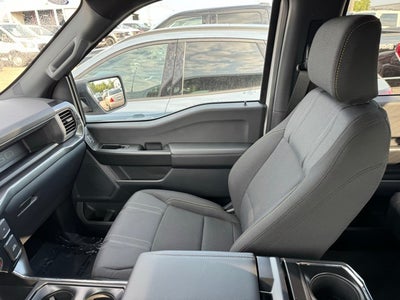 2025 Ford F-150 STX w/Black App Pkg