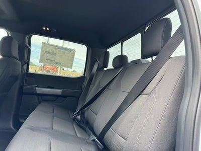 2025 Ford F-150 XLT w/ BlueCruise