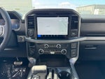 2025 Ford F-150 XLT w/Twin Panel Moonroof + Tailgate Step