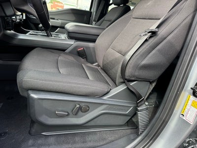 2025 Ford F-150 XLT w/ Blk Appearance Pkg