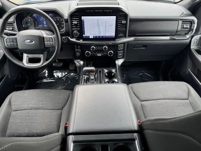 2023 Ford F-150 XLT w/ 6.5' Box