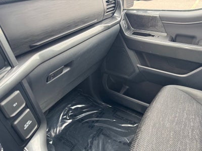 2023 Ford F-150 XLT w/ 6.5' Box