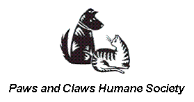 Rochester Ford in Rochester MN